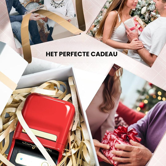 Niimbot B21 labelprinter